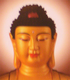 buddhafej