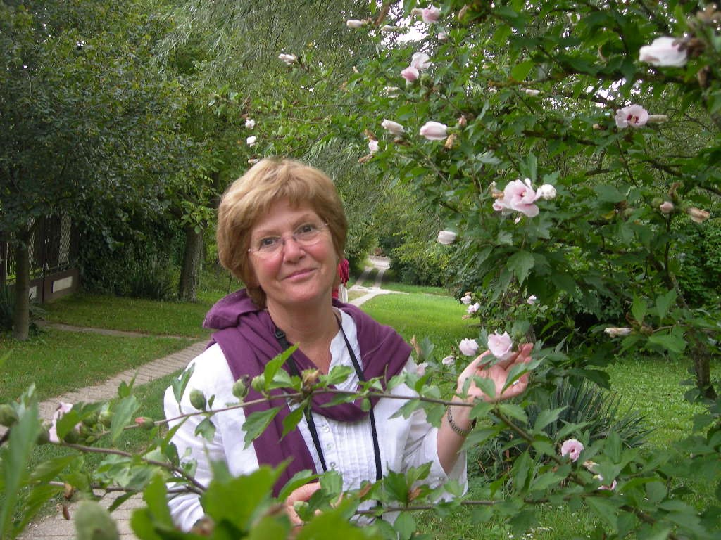 Hoyer Erzsébet
